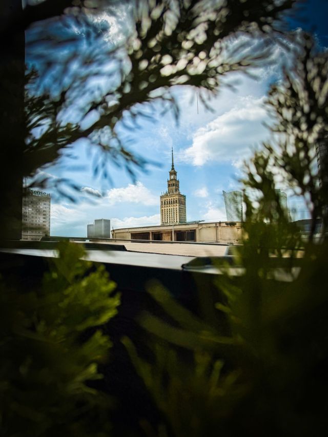Pałac Kultury i Nauki Warszawa, zdjęcie przez zielone gałęzie