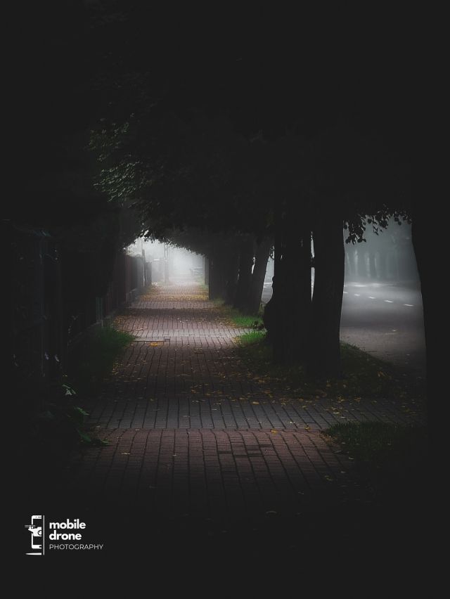 Nastrojowa, zamglona ścieżka jesienią, otoczona drzewami. Fotografia mobilna Lightroom